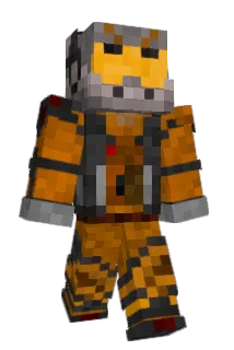 ngmi_Conc Minecraft avatar full body