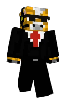 ni2co Minecraft avatar full body