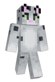 niFallon Minecraft avatar full body