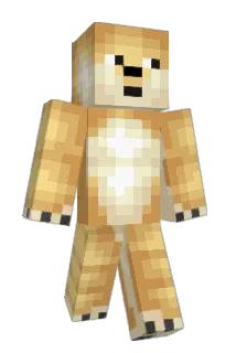 niallster16 Minecraft avatar full body