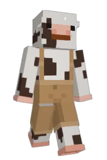 niamhthesneed Minecraft avatar full body