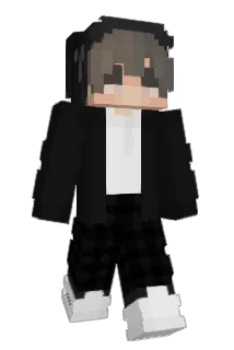 nic6100 Minecraft avatar full body