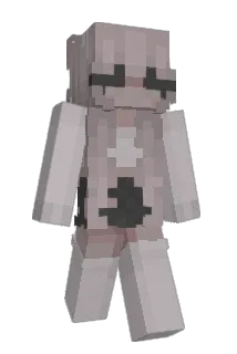 niccie Minecraft avatar full body