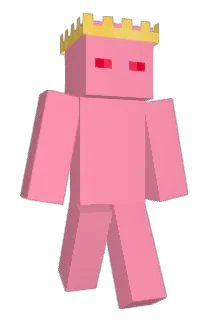 niccipicci Minecraft avatar full body
