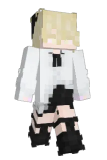 niceday2you Minecraft avatar full body