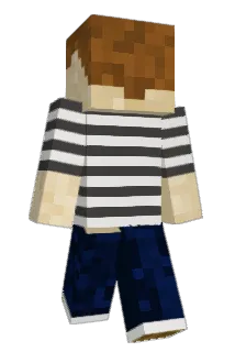 niceguyally Minecraft avatar full body