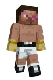 nici2tk Minecraft avatar full body