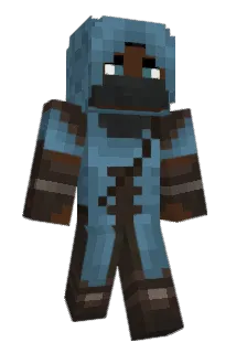 nick3491 Minecraft avatar full body