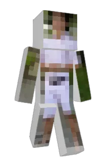 nick8703 Minecraft avatar full body