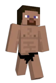 nickelodeon06 Minecraft avatar full body