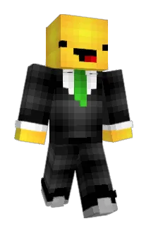 nickg1179 Minecraft avatar full body