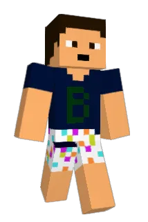 nickmik Minecraft avatar full body