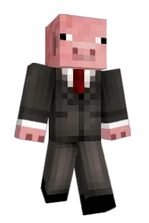 nickryan6425 Minecraft avatar full body