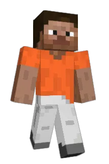 Minecraft-Avatar von nickszss: ganzer Körper