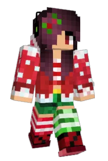 nicloose Minecraft avatar full body