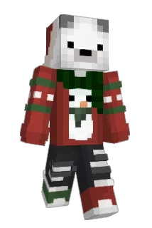 nico27113 Minecraft avatar full body