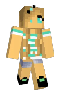nicolei007 Minecraft avatar full body
