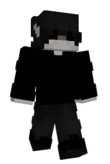 nidi20000 Minecraft avatar full body