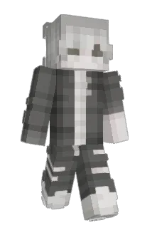 nielogi Minecraft avatar full body