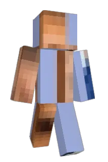 nietTV Minecraft avatar full body