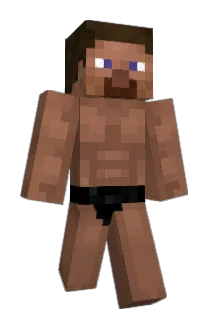 niheba Minecraft avatar full body