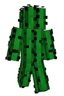 niinne Minecraft avatar full body