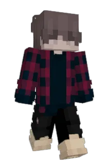 niiwdes Minecraft avatar full body