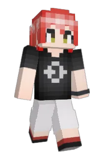 niki6040 Minecraft avatar full body