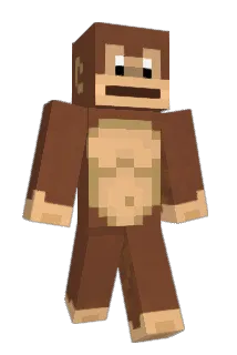 nikinok Minecraft avatar full body