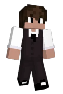 niklasderprofii Minecraft avatar full body