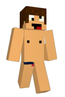 nikornerup Minecraft avatar full body