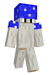 nileb Minecraft avatar full body