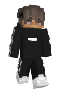 nilidark Minecraft avatar full body