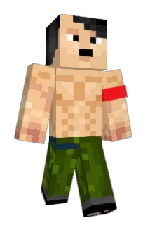 nilsfriden69 Minecraft avatar full body