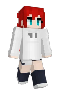 nim_r0d Minecraft avatar full body