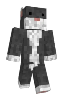 ninchilla Minecraft avatar full body
