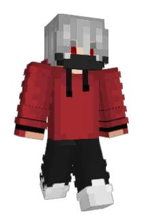 nine10x Minecraft avatar full body