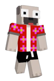 nineneepk Minecraft avatar full body