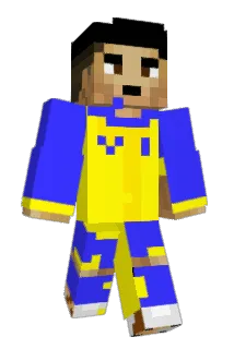 ninenet Minecraft avatar full body