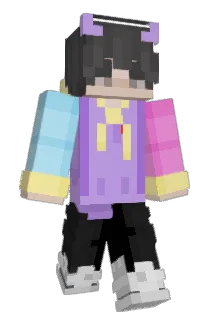 nineserk Minecraft avatar full body
