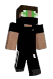 ninidroid Minecraft avatar full body