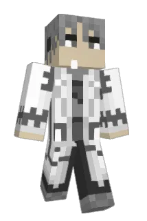ninj4frog Minecraft avatar full body