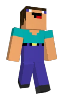 ninja008pl Minecraft avatar full body