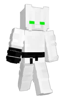 ninja02012 Minecraft avatar full body