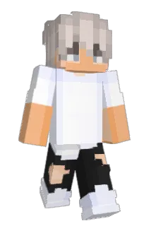 ninja2140 Minecraft avatar full body