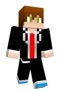 ninja30411 Minecraft avatar full body