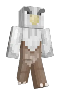 ninja62531 Minecraft avatar full body