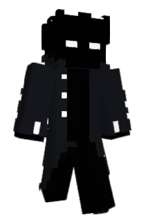 ninja_fighting Minecraft avatar full body