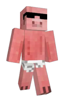 ninjadance Minecraft avatar full body