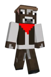 ninjafrog35 Minecraft avatar full body